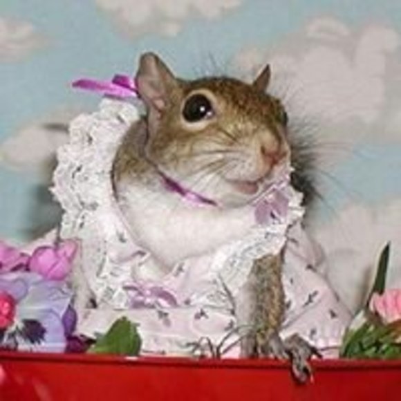 bunnybable